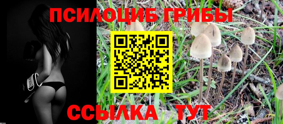 Галлюциногенные грибы Cubensis Якутск
