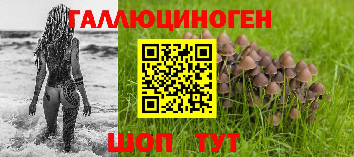 Якутск  Псилоцибиновые грибы мицелий  Вход с VPN 